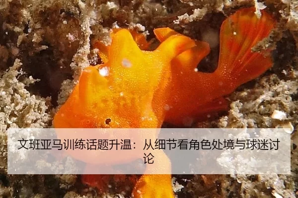 wen-ban-ya-ma-xun-lian-hua-ti-sheng-wen-cong-xi-jie-kan-jue-se-chu-jing-yu-qiu-mi-tao-lun-2-309.jpg